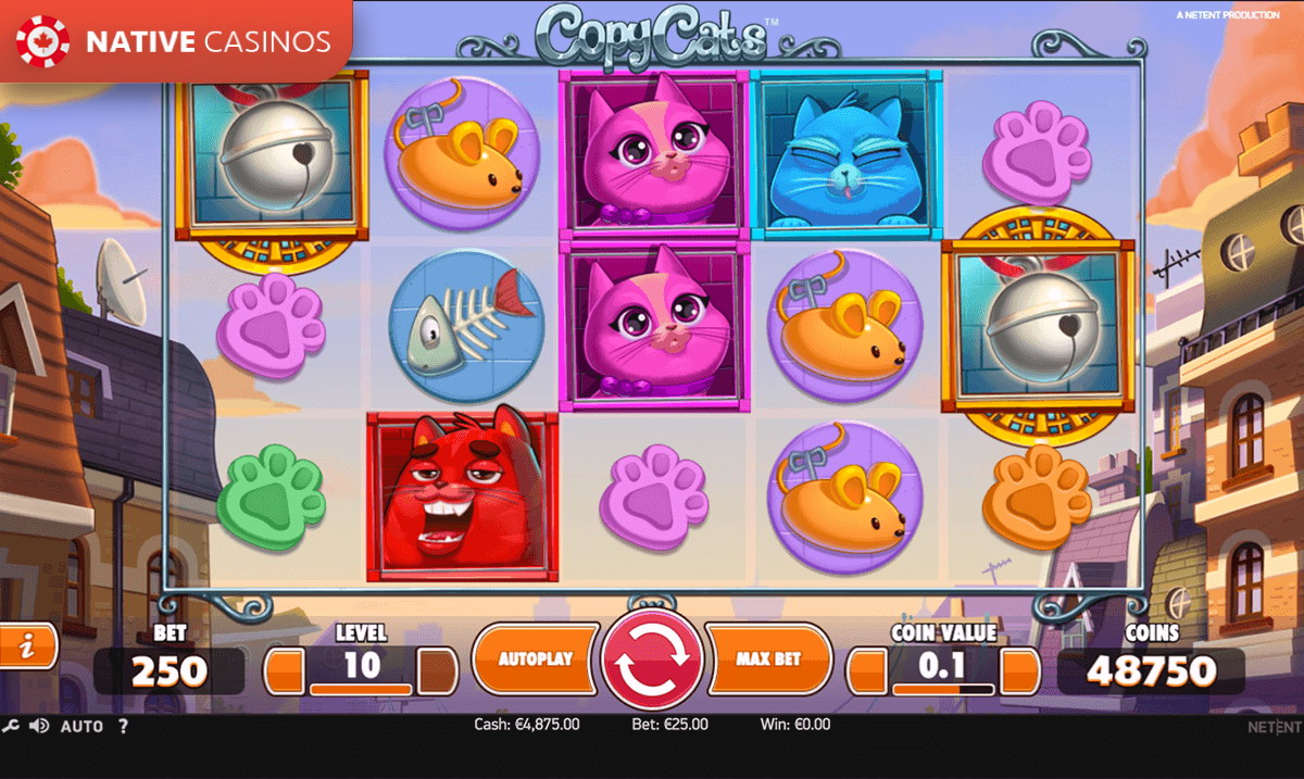 copy cats slots