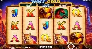 Wolf Gold hedelmapeli